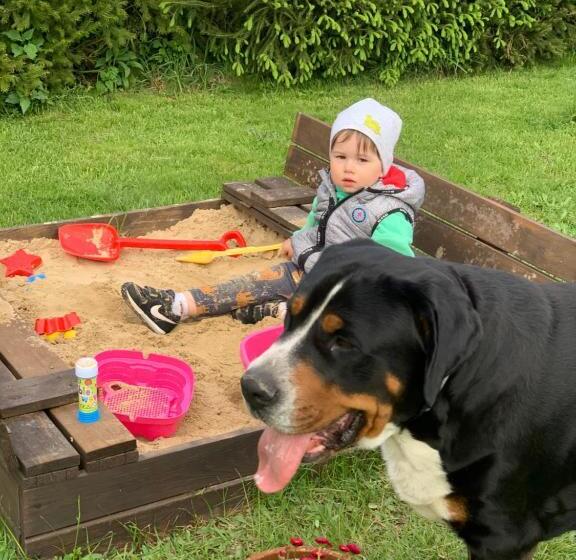 בית מלון כפרי Agro Na Wapniarni