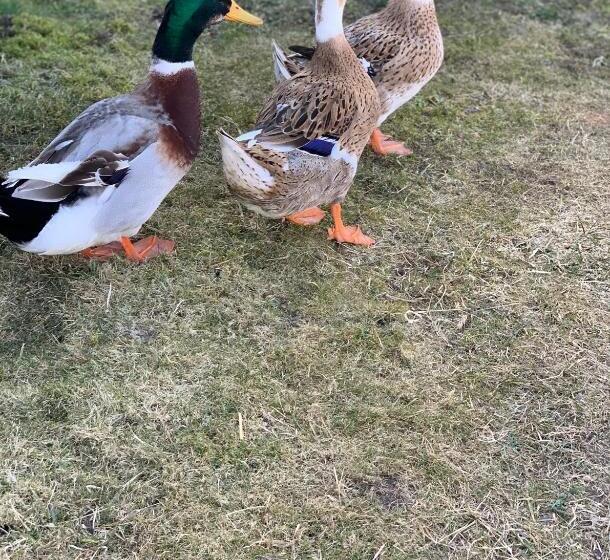 ホテル Agro Na Wapniarni