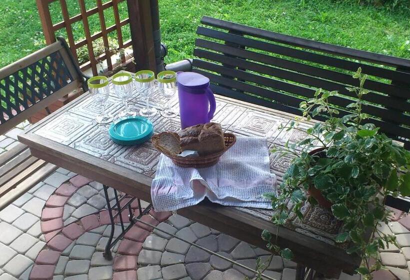 בית מלון כפרי Agroturystyka Janiczek Tuchów