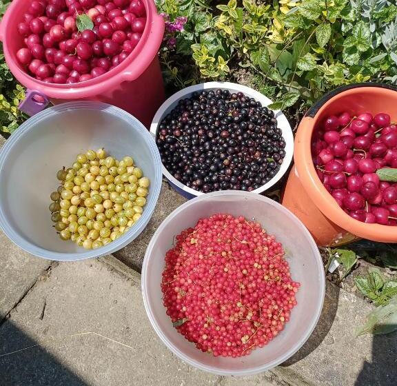 בית מלון כפרי Agroturystyka Janiczek Tuchów