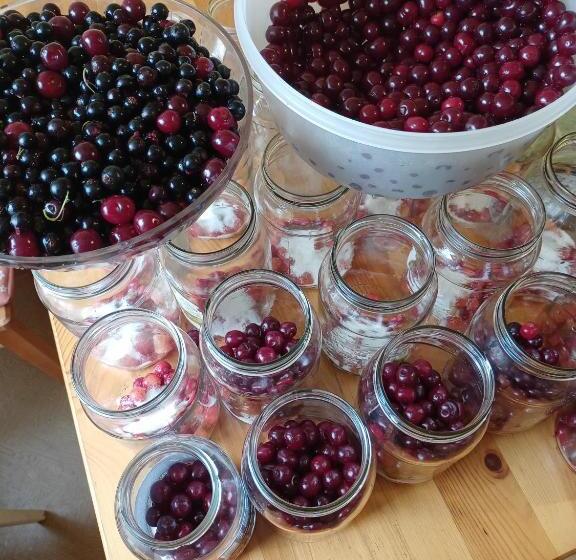 בית מלון כפרי Agroturystyka Janiczek Tuchów