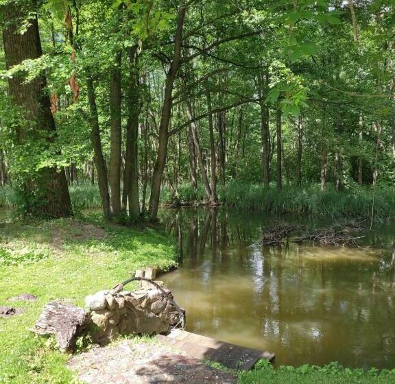 Отель Agroturystyka Kajaki Sauna Pierogi