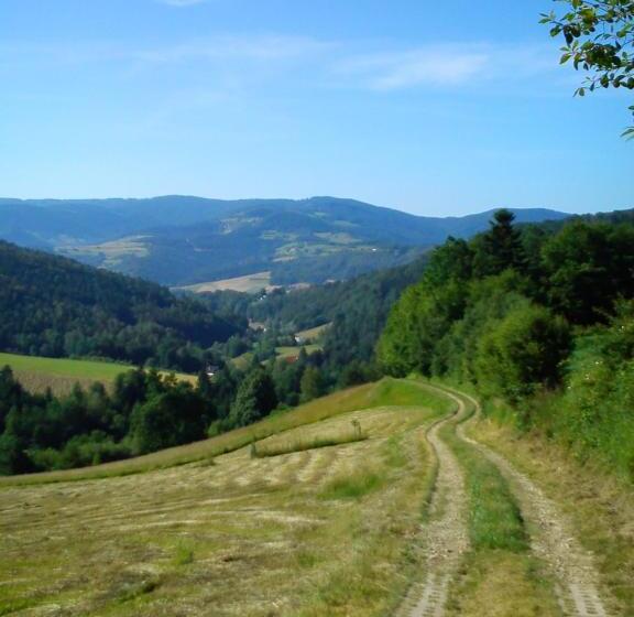 ホテル Agroturystyka Millerówka
