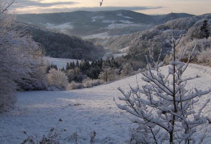 ホテル Agroturystyka Millerówka