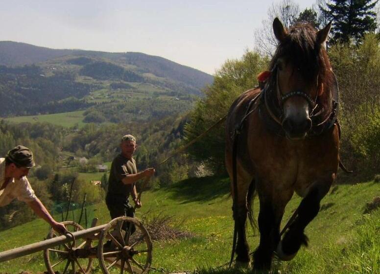 ホテル Agroturystyka Millerówka