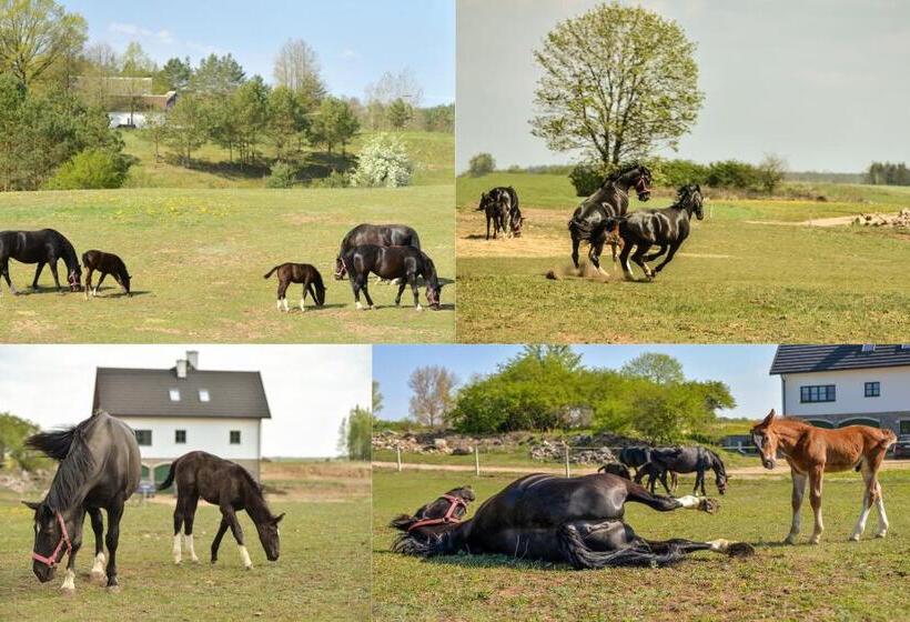 בית מלון כפרי Agroturystyka Olzoja