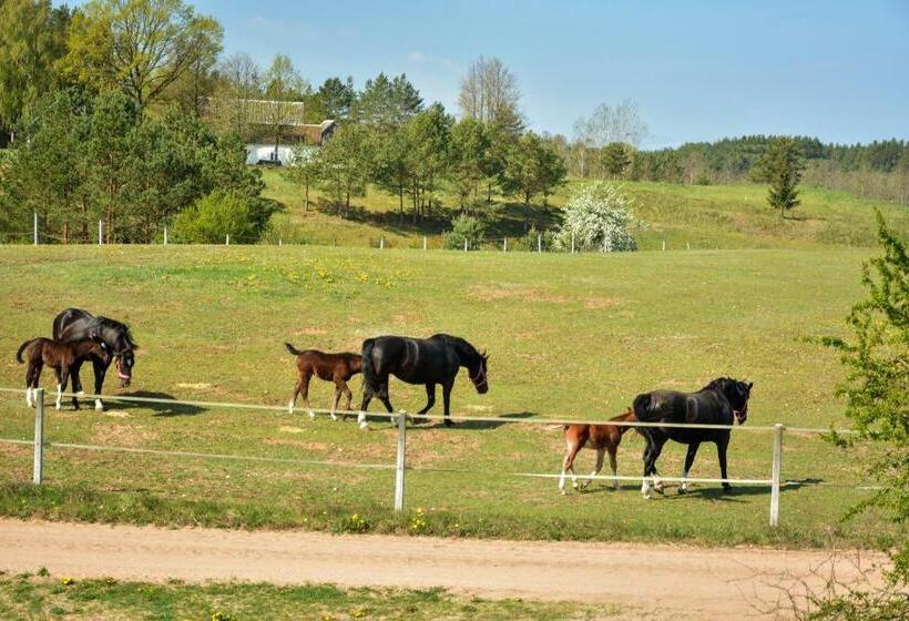 בית מלון כפרי Agroturystyka Olzoja