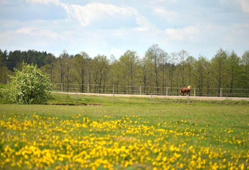 בית מלון כפרי Agroturystyka Olzoja