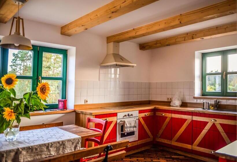 בית מלון כפרי Agroturystyka Olzoja