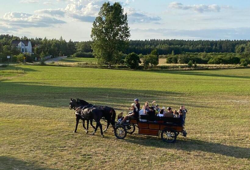 בית מלון כפרי Agroturystyka Olzoja