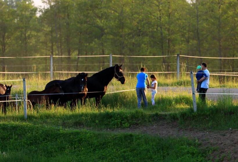 בית מלון כפרי Agroturystyka Olzoja