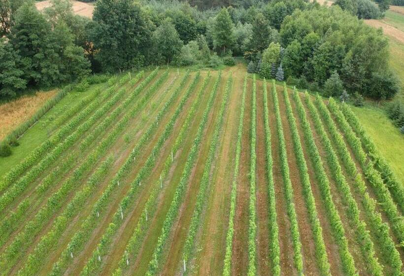 فندق Agroturystyka Rogala