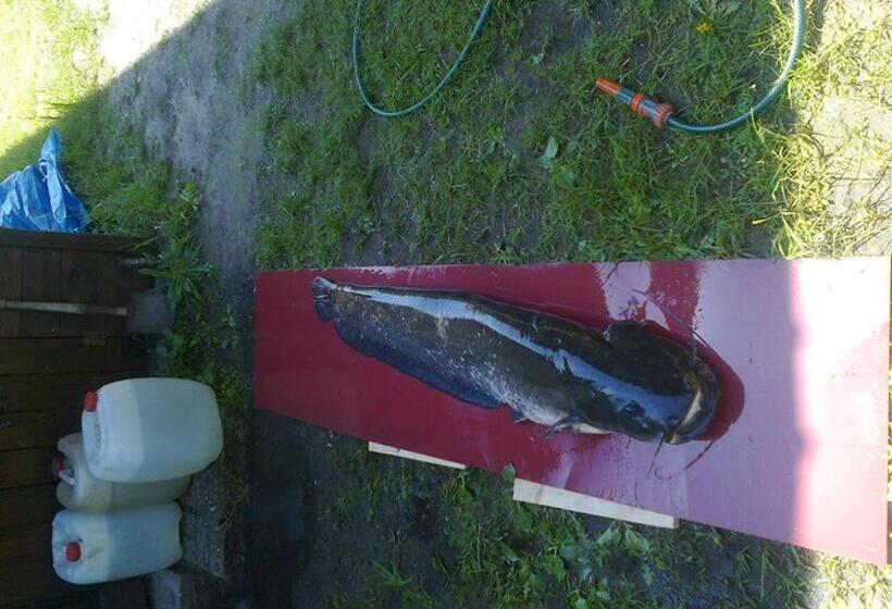 בית מלון כפרי Agroturystyka Ruta Nad Zalewem Siemianówka