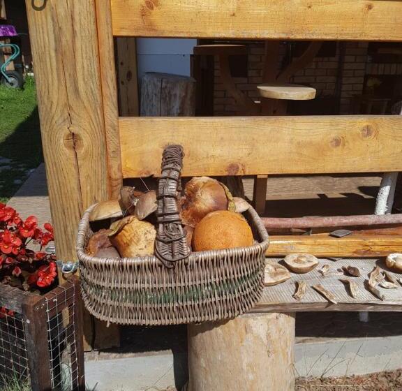 בית מלון כפרי Agroturystyka Ruta Nad Zalewem Siemianówka