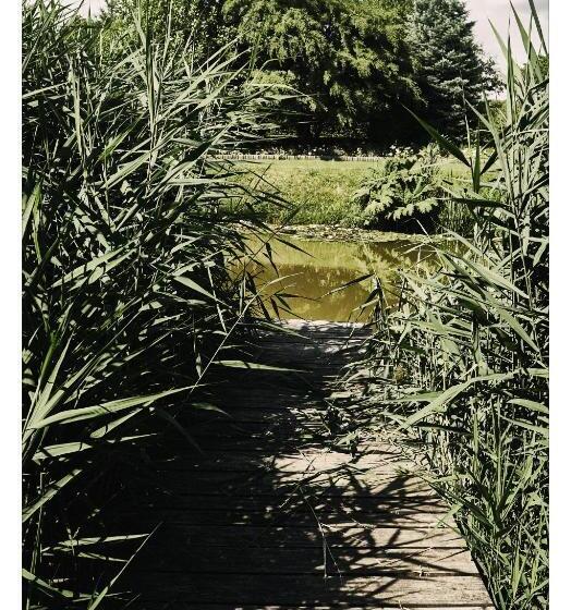 בית מלון כפרי Agroturystyka Siołki