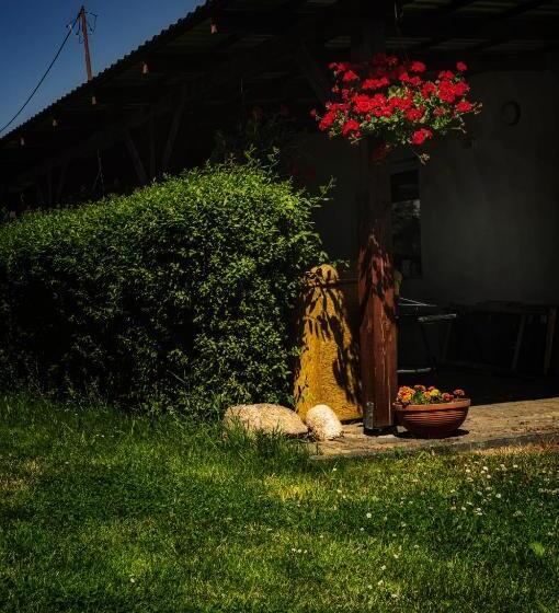 בית מלון כפרי Agroturystyka Siołki