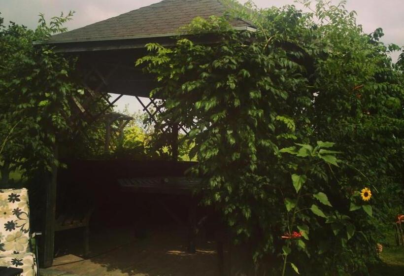 בית מלון כפרי Agroturystyka Siołki