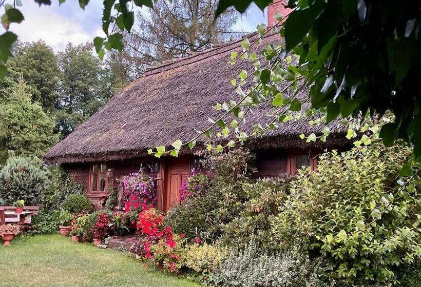 Отель Chata Pod Strzechą  Bory Tucholskie