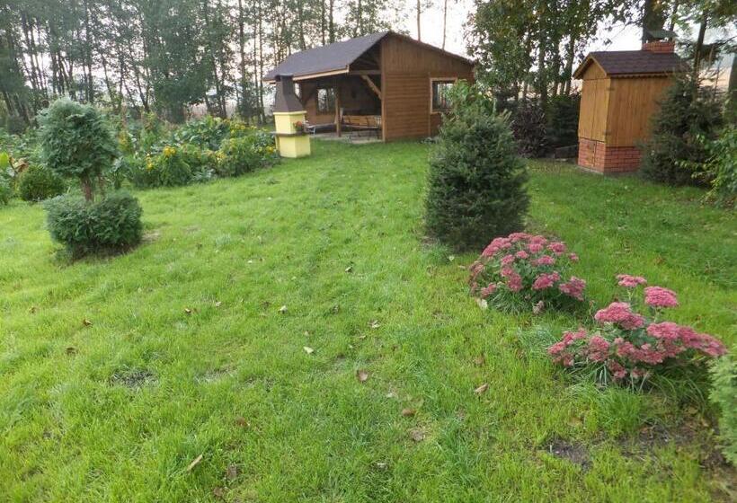 Отель Chata Pod Strzechą  Bory Tucholskie