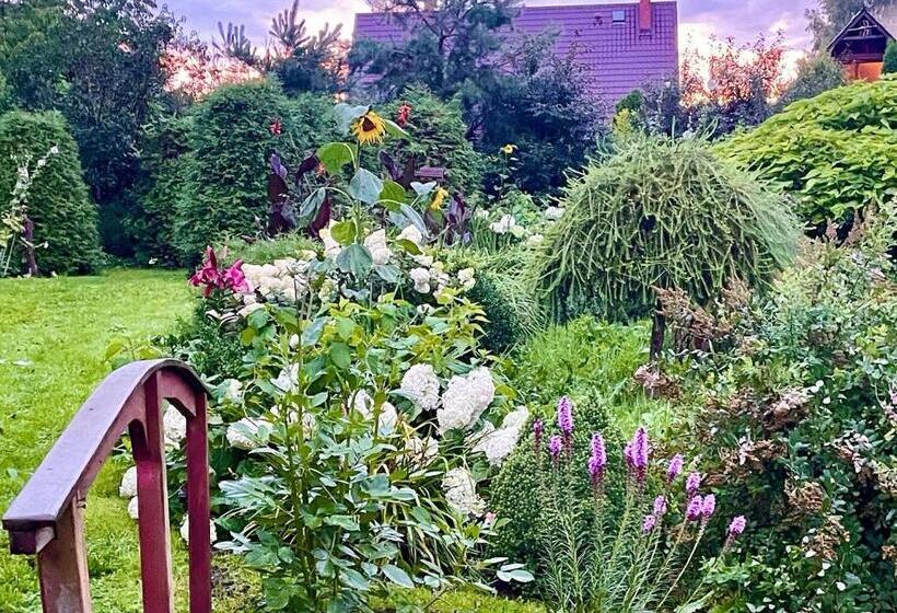 Отель Chata Pod Strzechą  Bory Tucholskie