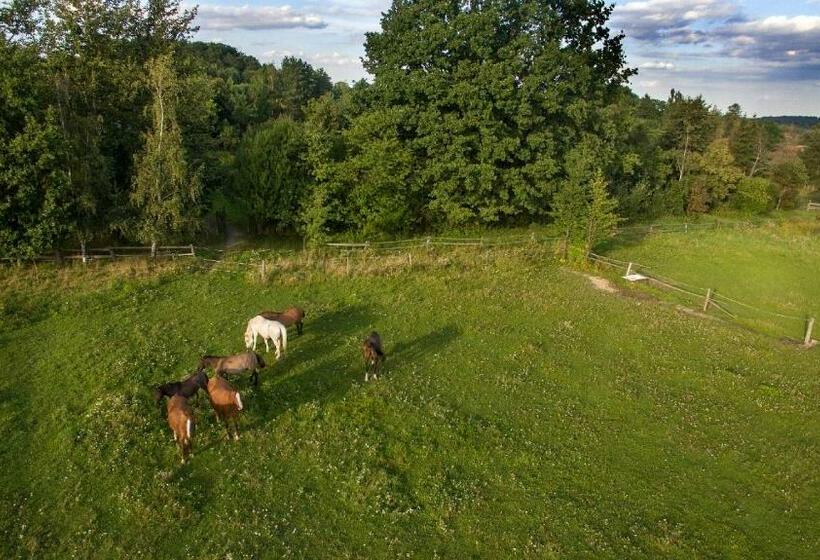 בית מלון כפרי Ekoturystyka Nowina