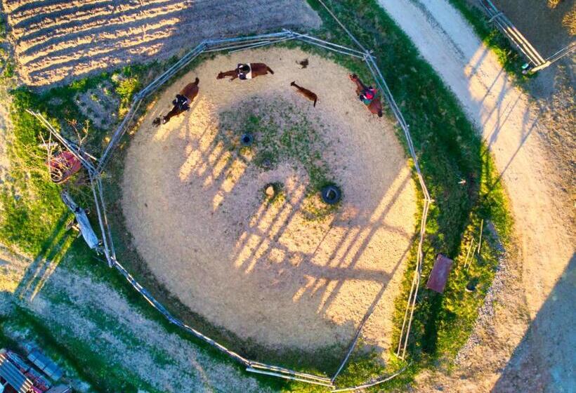 ホテル Gospodarstwo Agroturystyczne Paryja