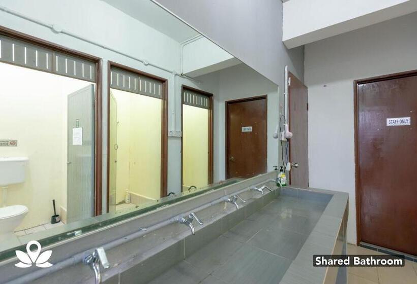 فندق Island Backpackers