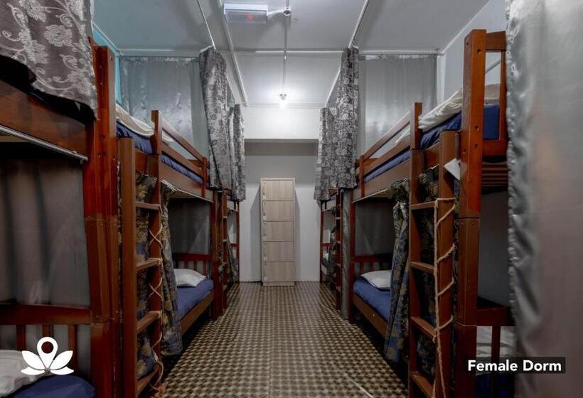 فندق Island Backpackers