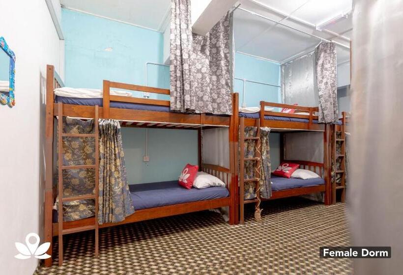 فندق Island Backpackers