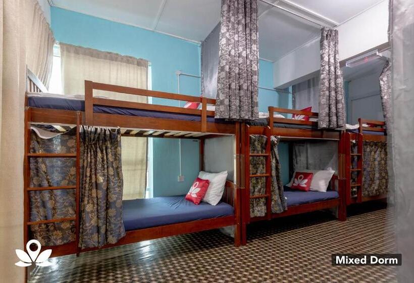 فندق Island Backpackers