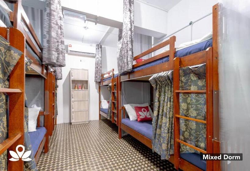 فندق Island Backpackers