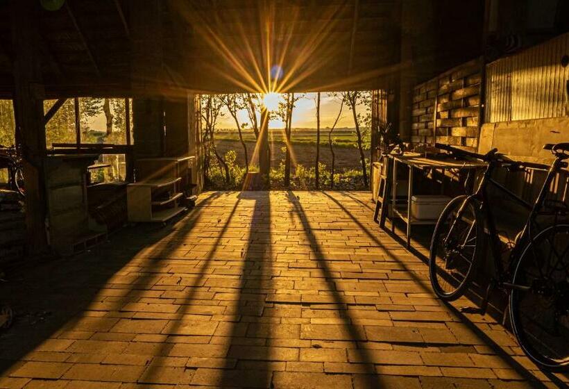 酒店 Kogutowo Agroturystyka Mpr