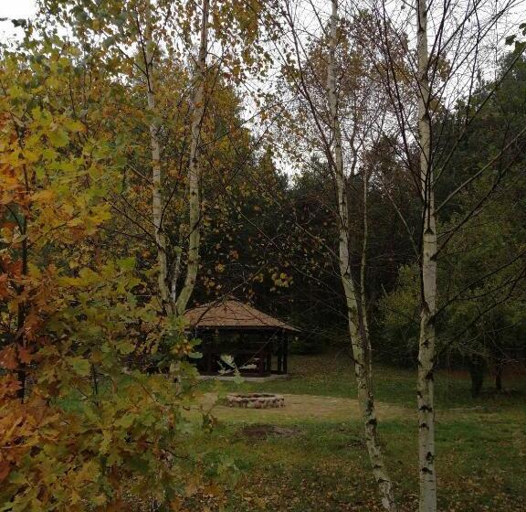 ホテル Leśny Dwór Uhowo