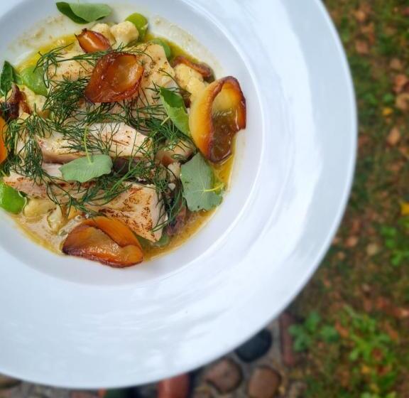 בית מלון כפרי Maciejówka Borki 33