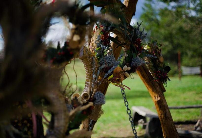 בית מלון כפרי Maciejówka Borki 33