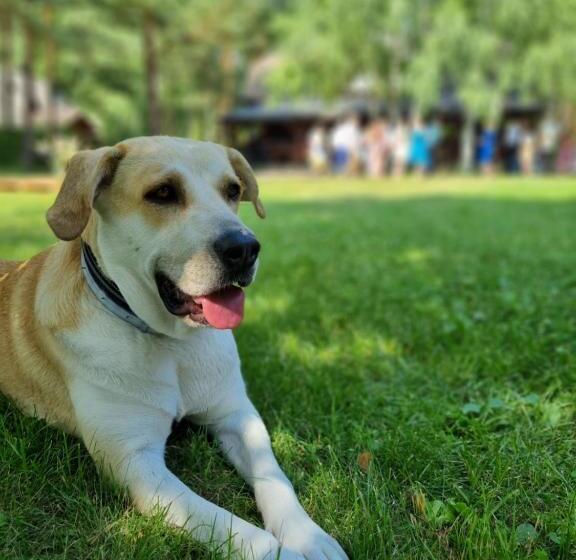 בית מלון כפרי Maciejówka Borki 33