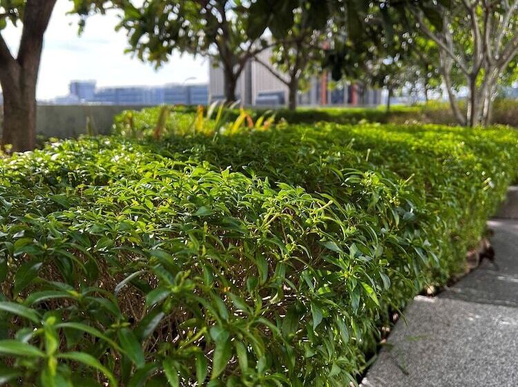 Отель Mercure Living Putrajaya