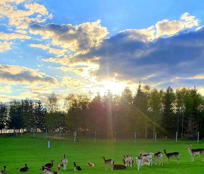 ホテル Przystań Nad Zatoką   Gospodarstwo Agroturystyczne