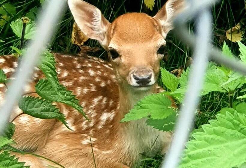ホテル Przystań Nad Zatoką   Gospodarstwo Agroturystyczne