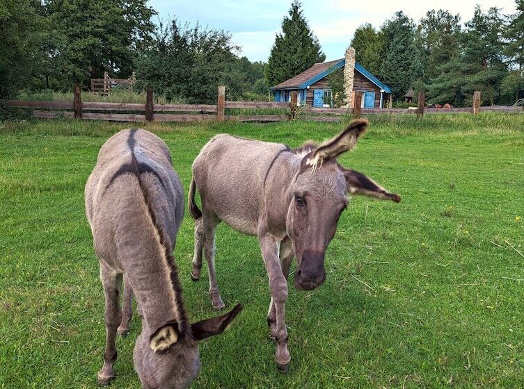 ホテル Ranczo Annabella