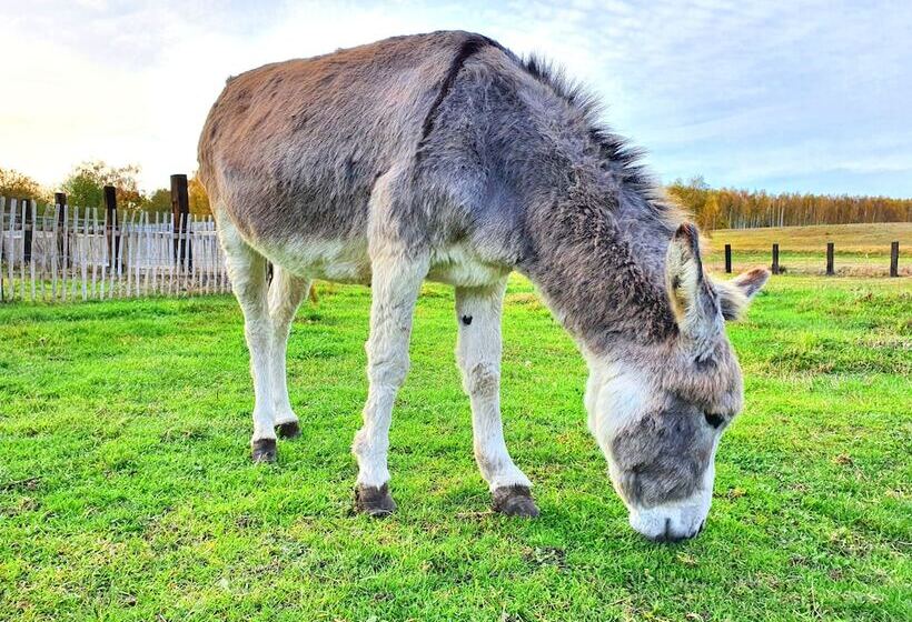 ホテル Ranczo Annabella