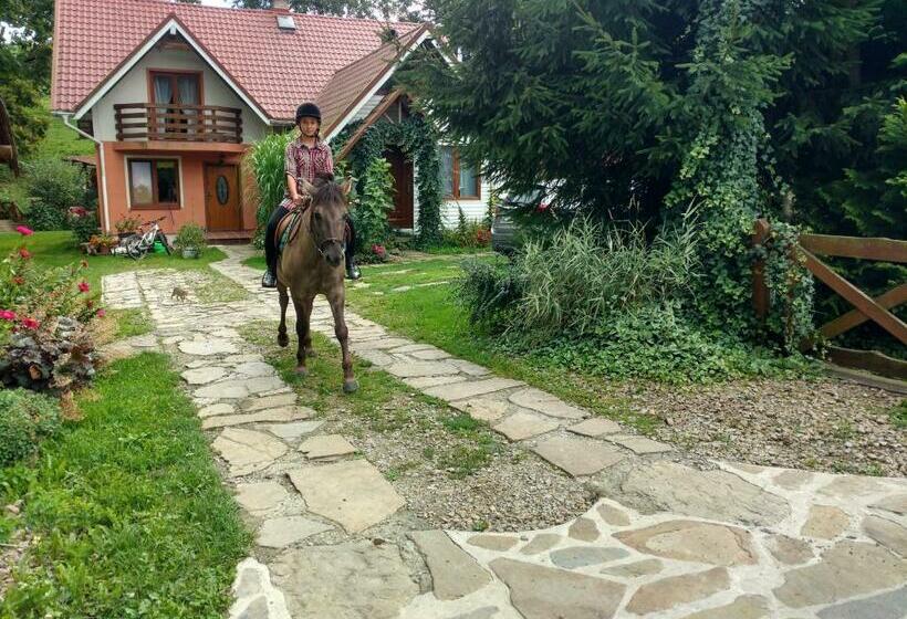 فندق Rodzinny Domek Apartament