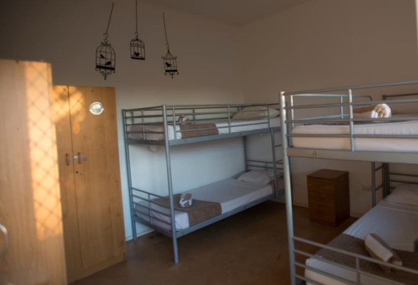 فندق Roey Backpackers & Party Bar