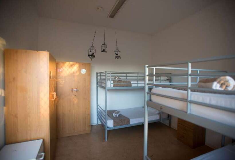 فندق Roey Backpackers & Party Bar