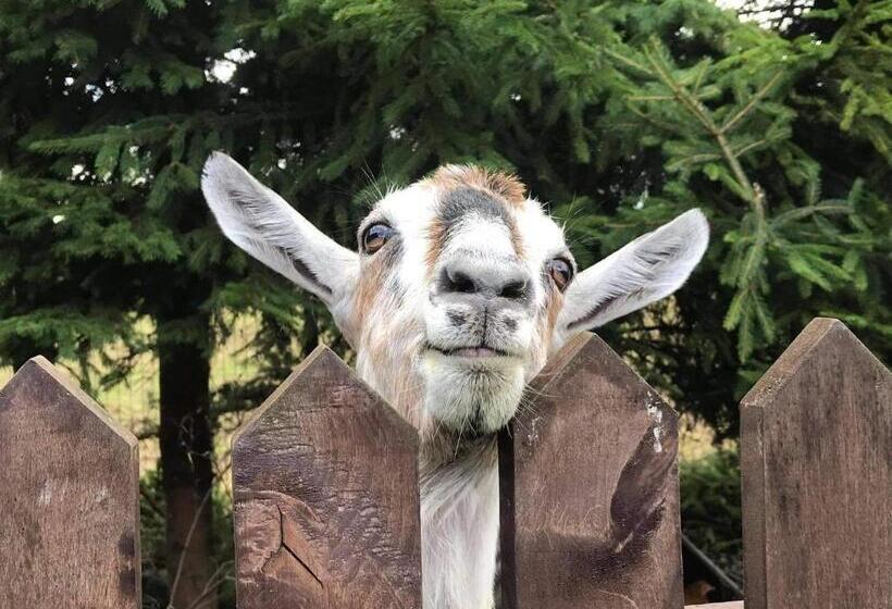 Отель Sielski Zakątek Tokary