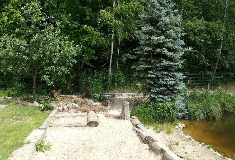 Отель Sielski Zakątek Tokary