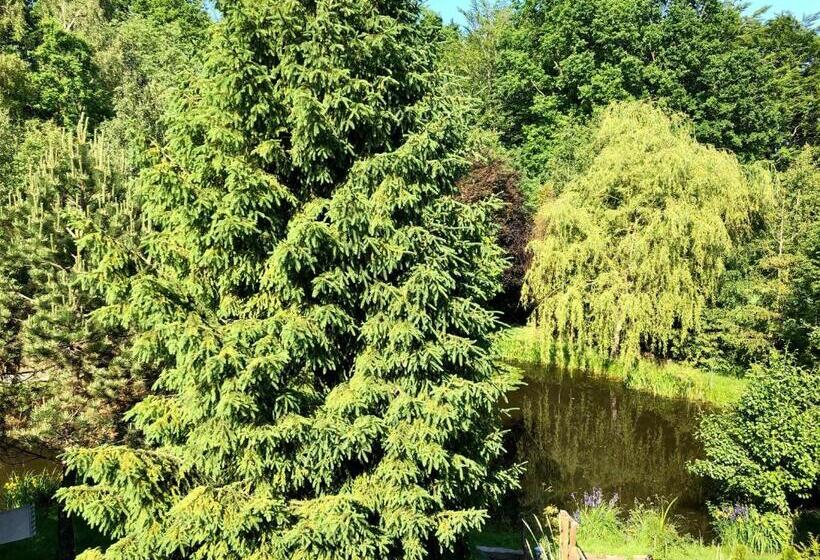 Отель Sielski Zakątek Tokary