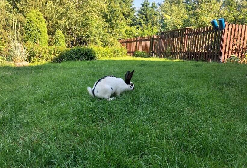 Отель Sielski Zakątek Tokary