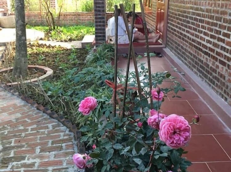 هتل Van Long Family Homestay