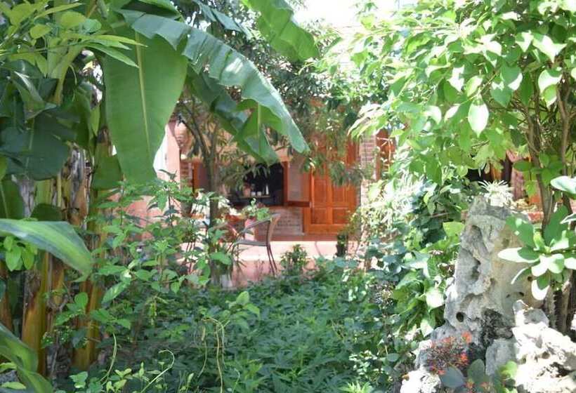 هتل Van Long Family Homestay